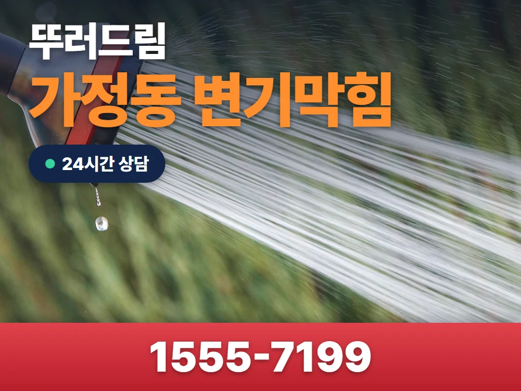 가정동 변기막힘 현장