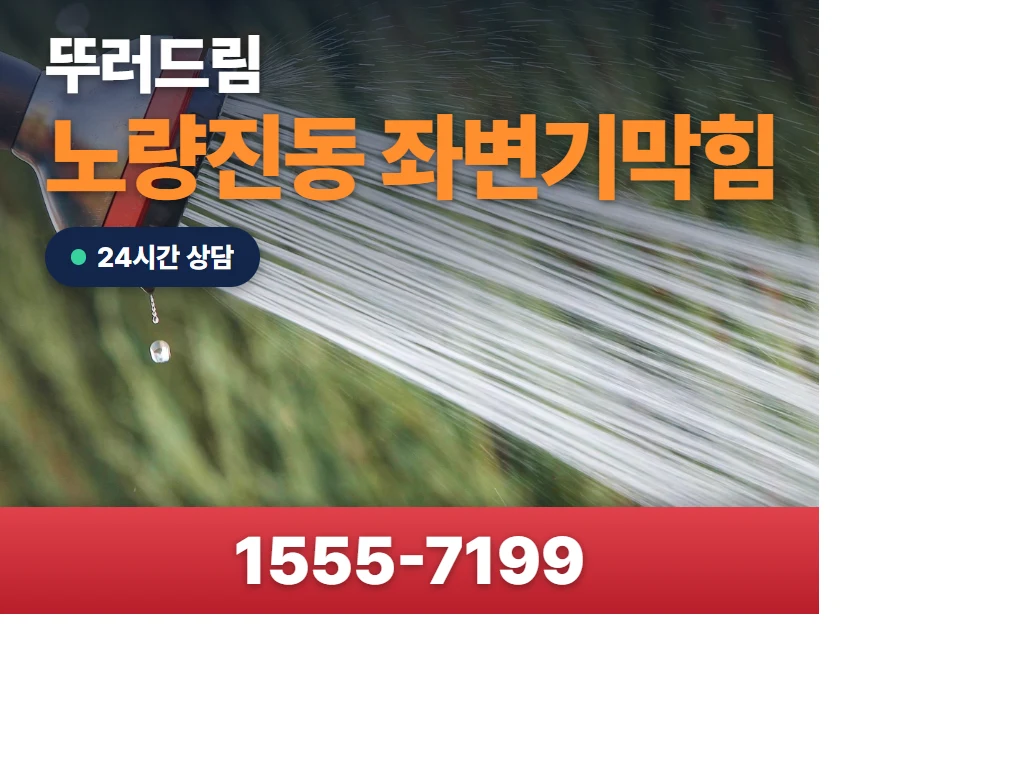 노량진동 좌변기막힘 현장
