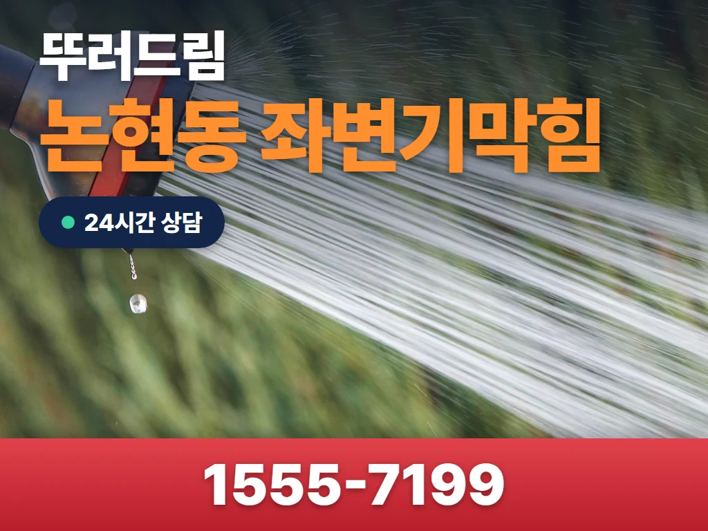 논현동 좌변기막힘 현장
