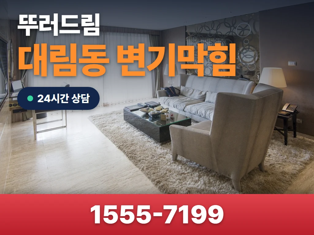 대림동 변기막힘 현장