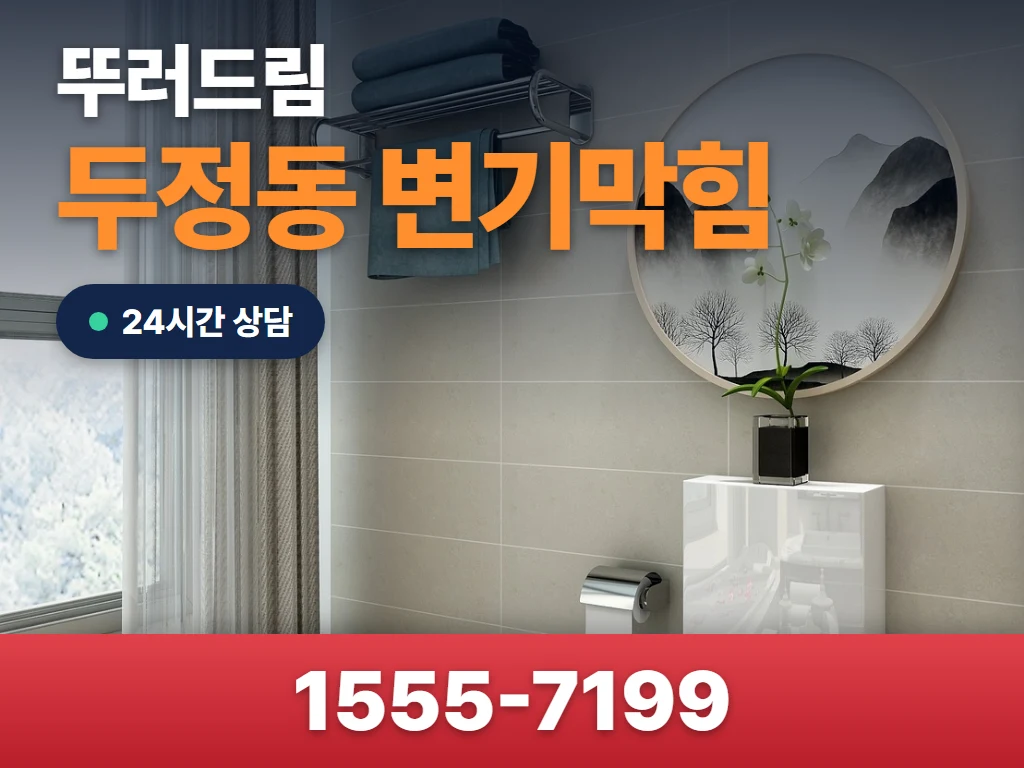 두정동 변기막힘 현장