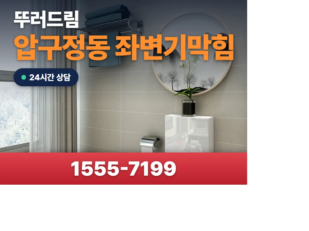 압구정동 좌변기막힘 현장