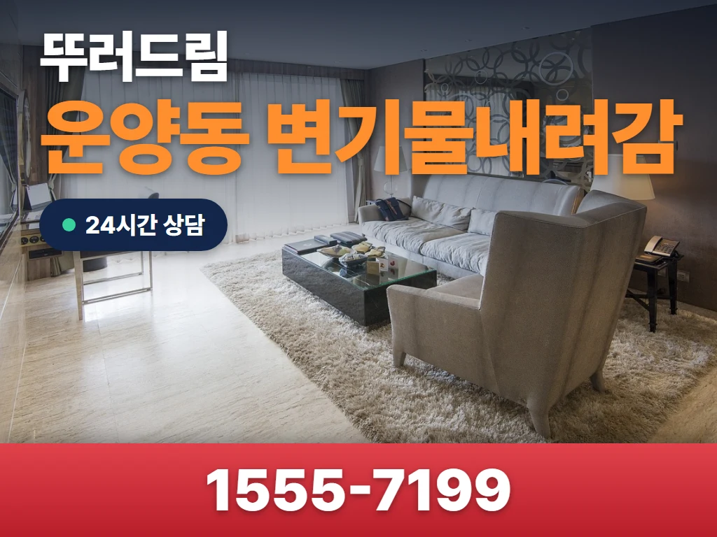 운양동 변기물내려감 현장