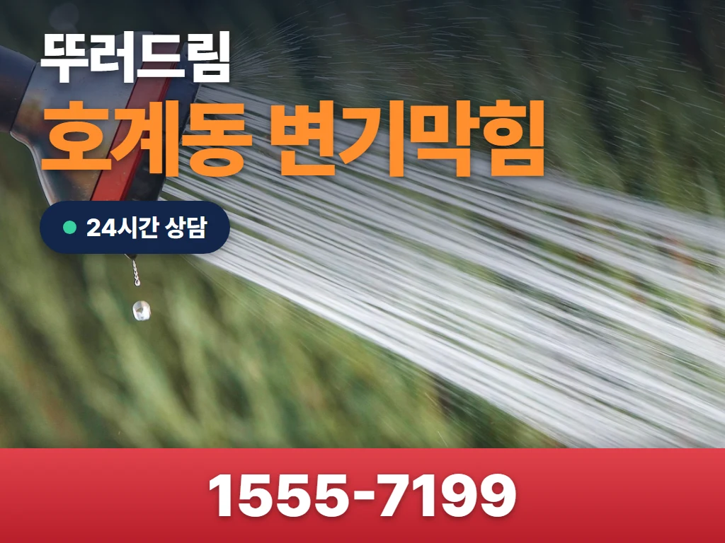 호계동 변기막힘 현장
